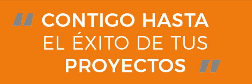 Project Manager